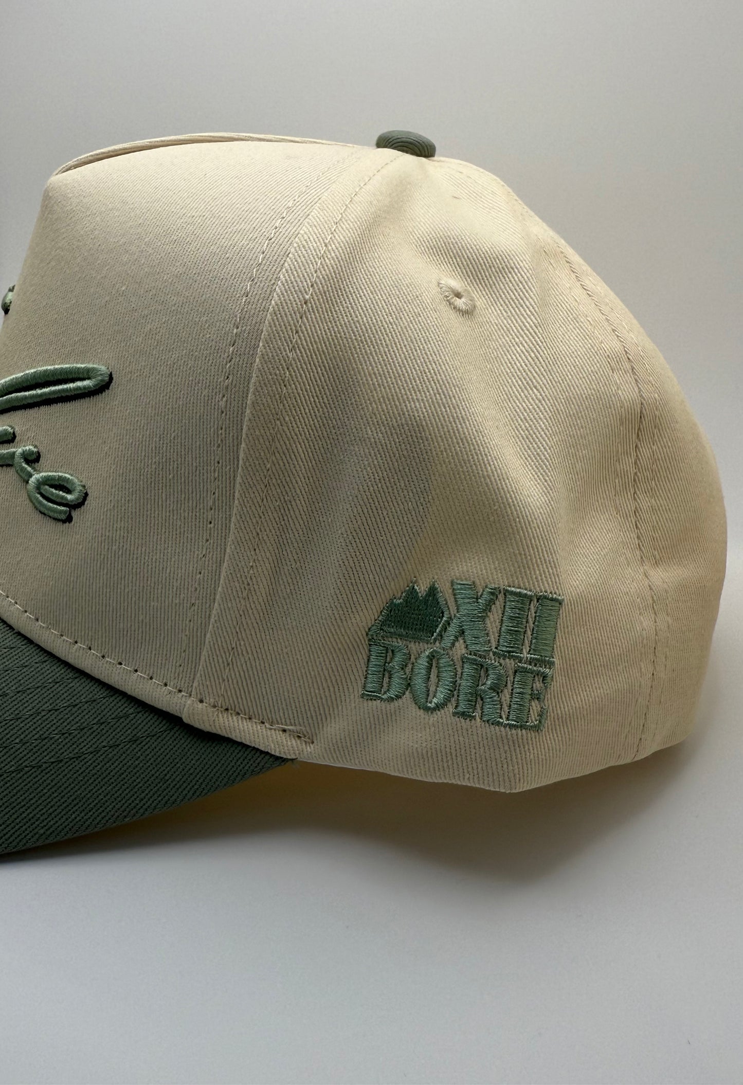 Gen 1 Scripted Adjustable Hat - Mint